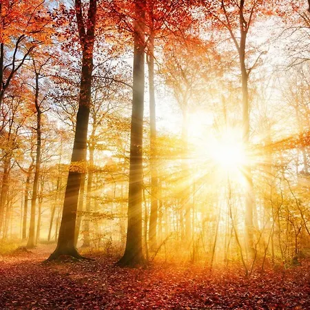 Garden Winterberg Woods * Medebach