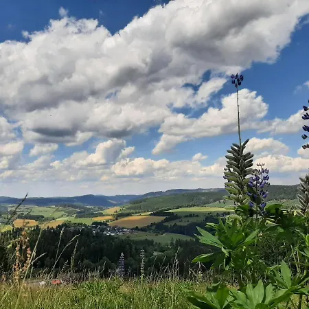 Garden Winterberg Woods Medebach