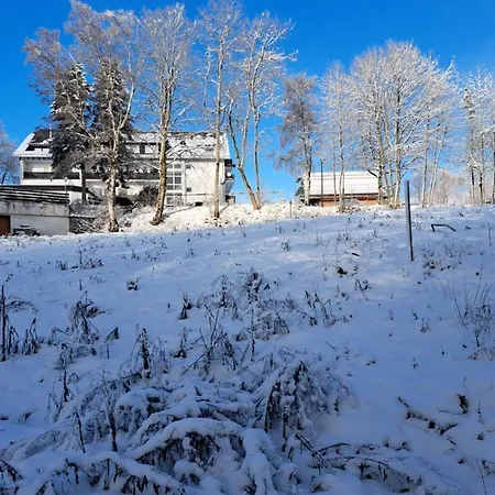 Garden Winterberg Woods