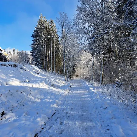 Garden Winterberg Woods *