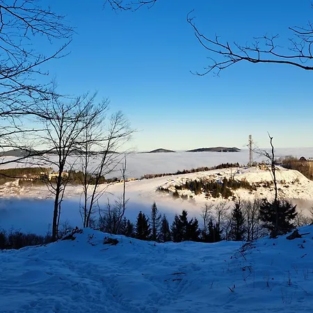 Great Winterberg Woods *