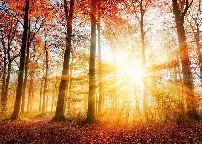 Garden Winterberg Woods * Medebach