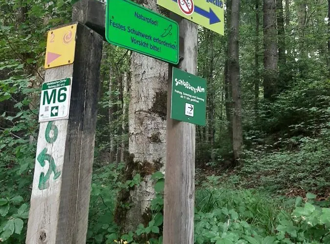 Garden Winterberg Woods Lägenhet