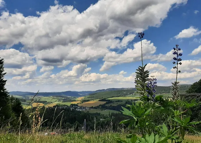 Garden Winterberg Woods Medebach