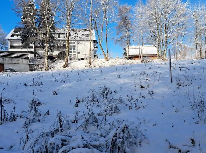Garden Winterberg Woods
