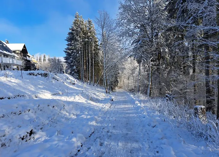 Garden Winterberg Woods *