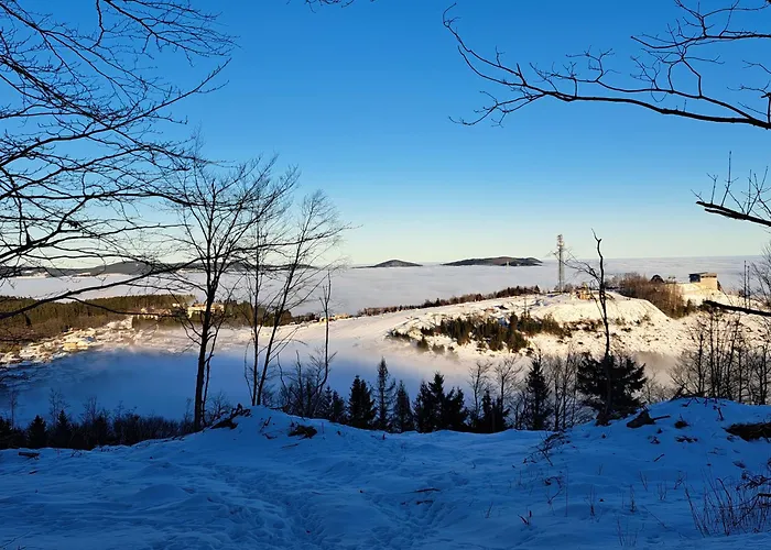 Garden Winterberg Woods *